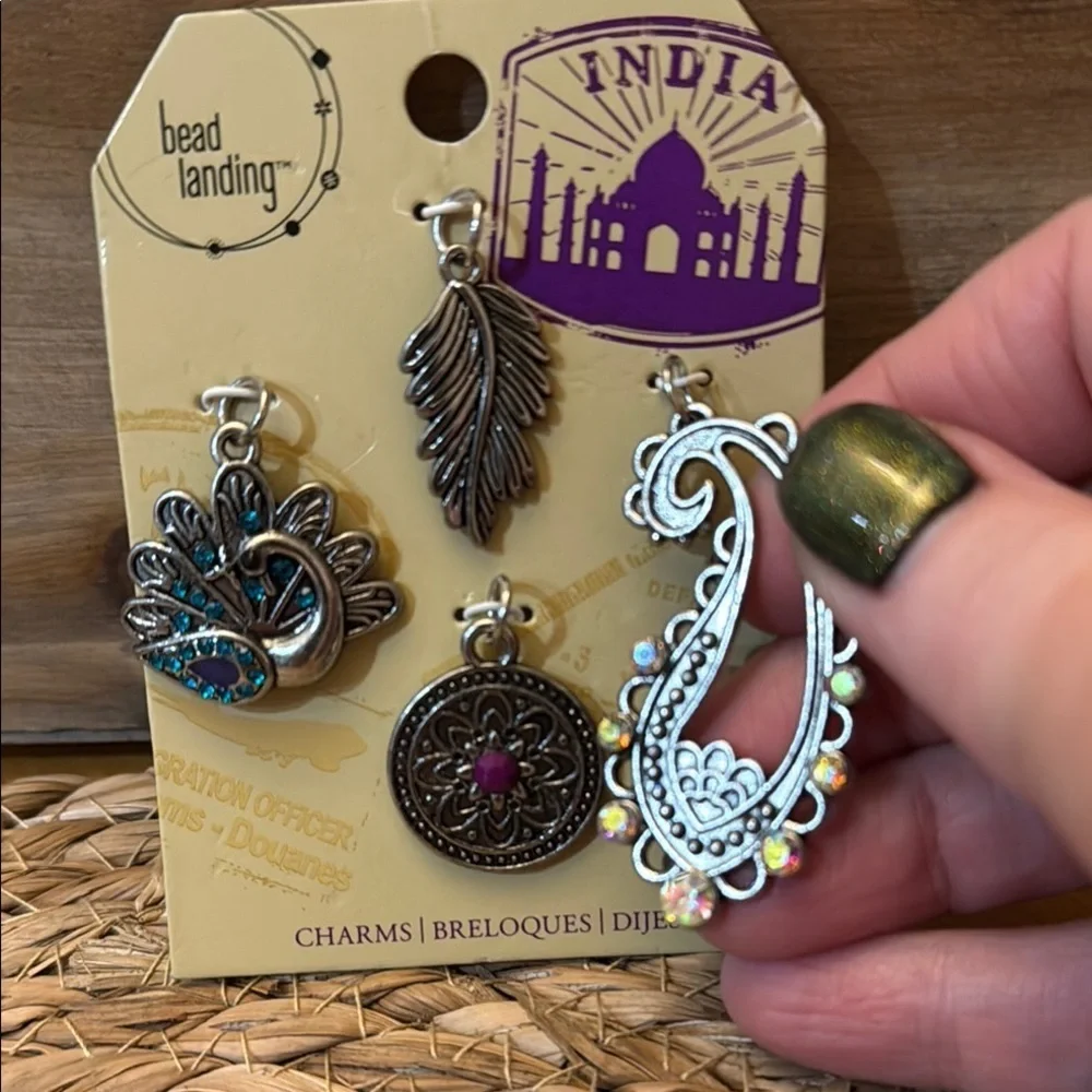 Bead Landing India Charms Set - Silver and Multicolor